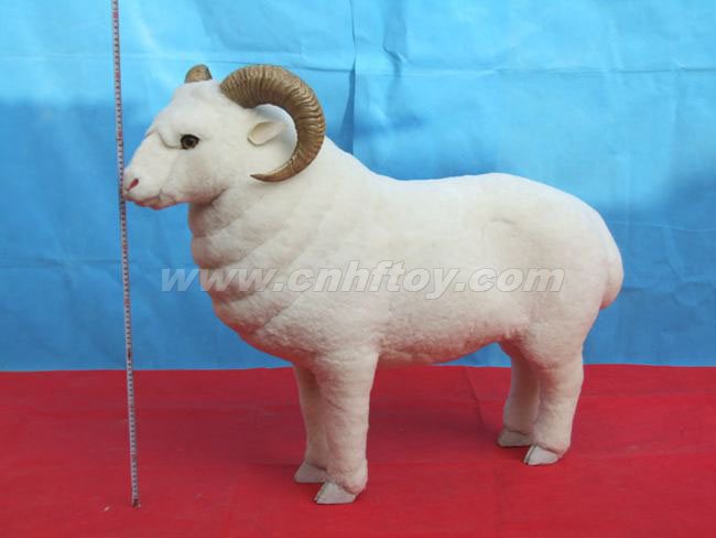 大型動物：DX019菏澤恒方皮毛工藝品有限公司